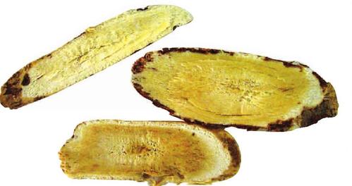 膜荚黄芪-六盘山药用植物-图片